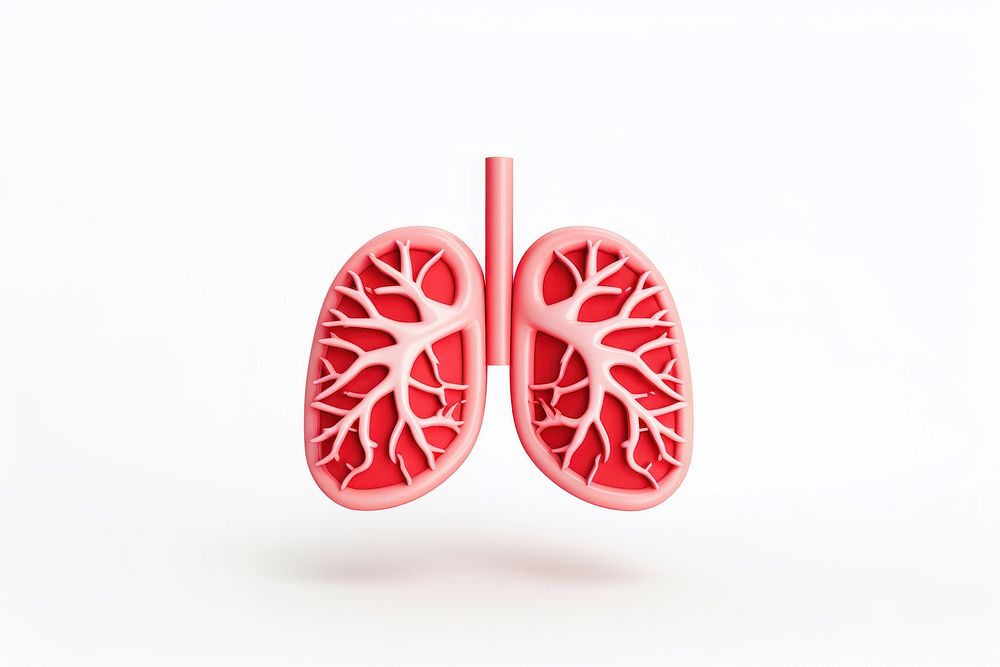 Lungs heart red white background. AI generated Image by rawpixel.
