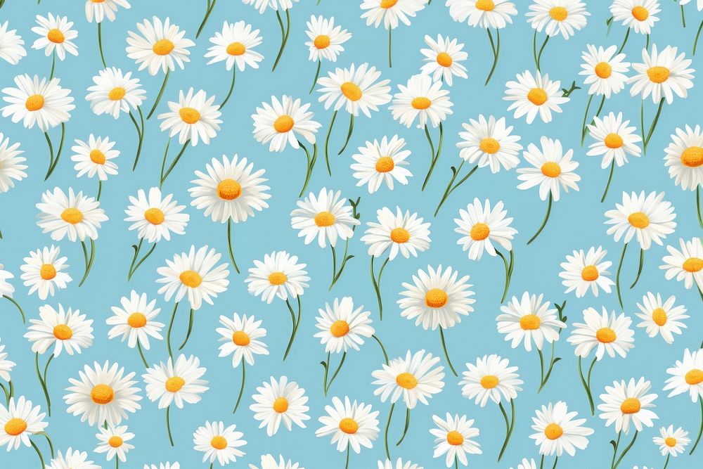 Daisy pattern outdoors flower. 