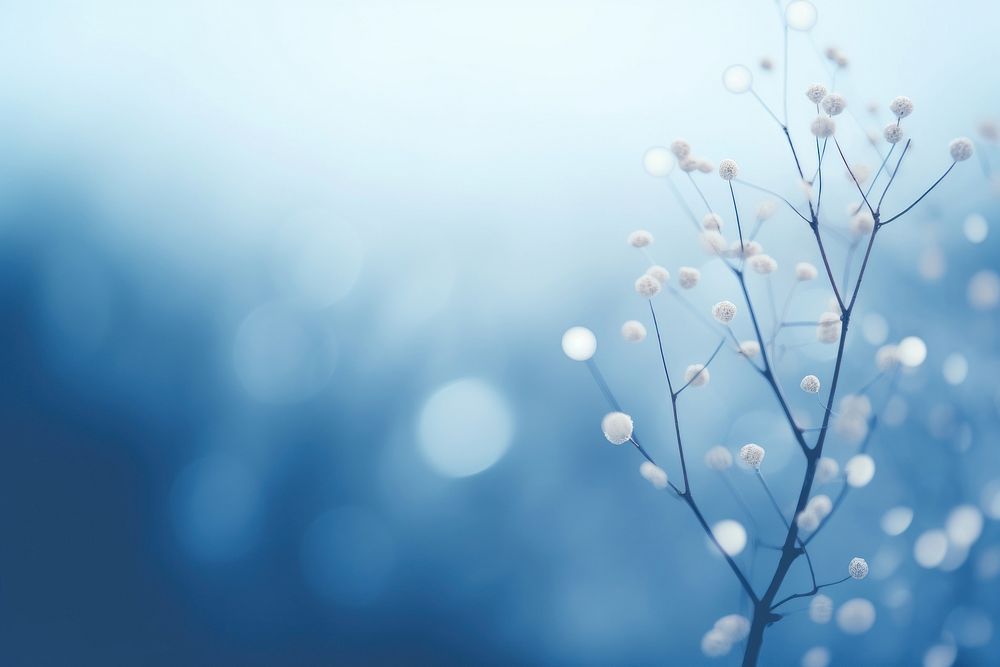 Blue backgrounds outdoors blossom. AI generated Image by rawpixel.