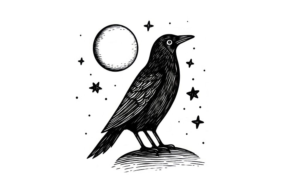 Crow drawing sketch bird. AI generated Image by rawpixel.