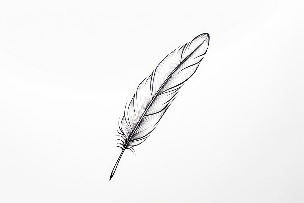 Feather drawing sketch white. AI generated Image by rawpixel.