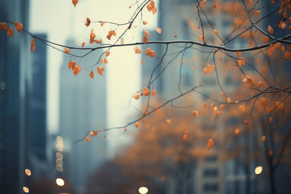 Autumn city backgrounds outdoors. AI generated Image by rawpixel.