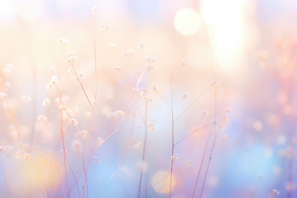 Pastel backgrounds sunlight outdoors. AI generated Image by rawpixel.