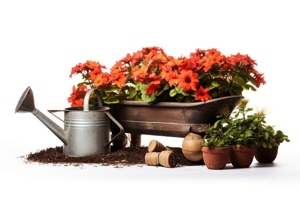 Gardening Equipment and flowers garden gardening outdoors. AI generated Image by rawpixel.