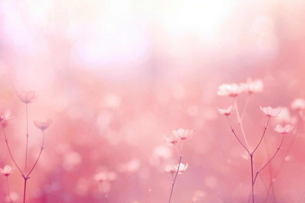 Pink backgrounds outdoors blossom. AI generated Image by rawpixel.