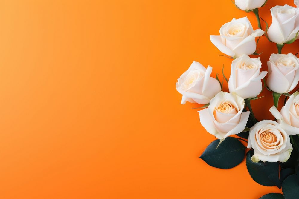 Orange roses flower petal plant. AI generated Image by rawpixel.