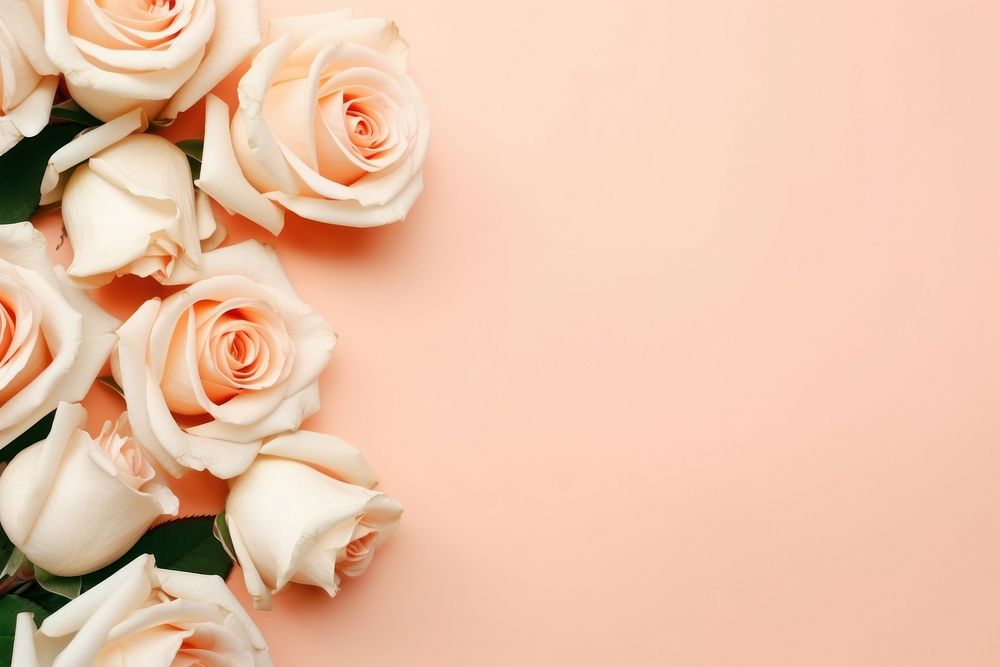 Peach roses flower petal plant. AI generated Image by rawpixel.
