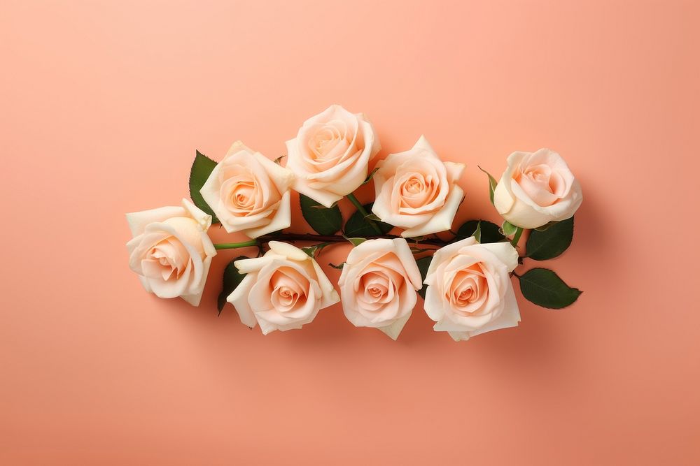 Peach roses flower petal plant. AI generated Image by rawpixel.