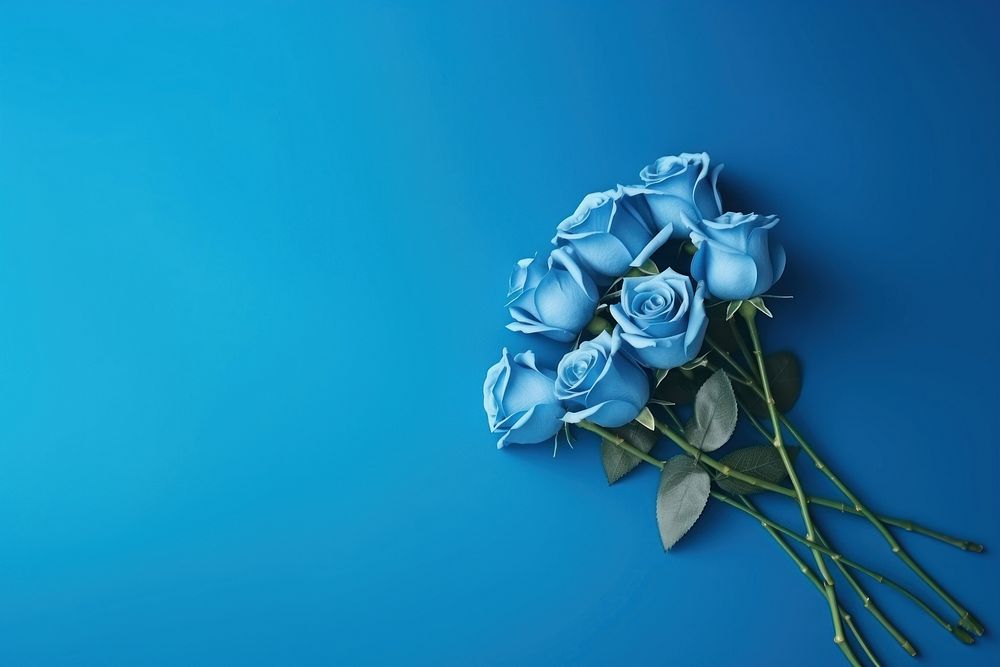 Blue rose bouquet flower plant blue background. AI generated Image by rawpixel.