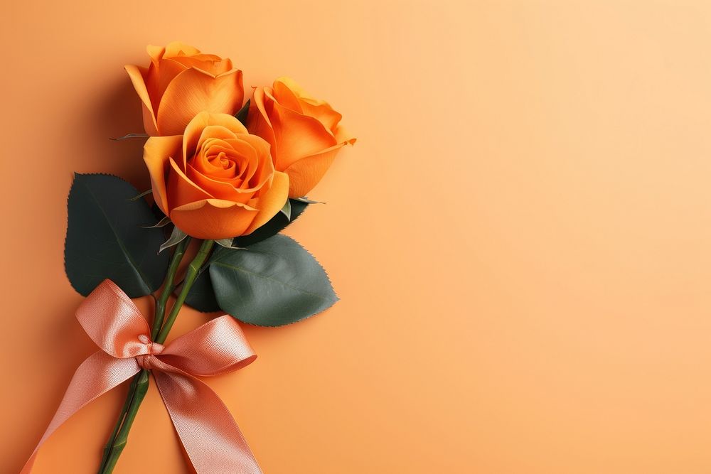 Orange rose bouquet ribbon flower plant. AI generated Image by rawpixel.