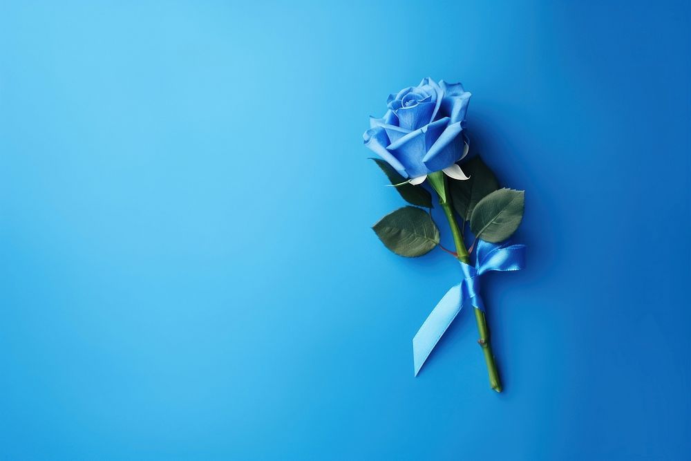 Blue rose bouquet flower plant blue background. AI generated Image by rawpixel.