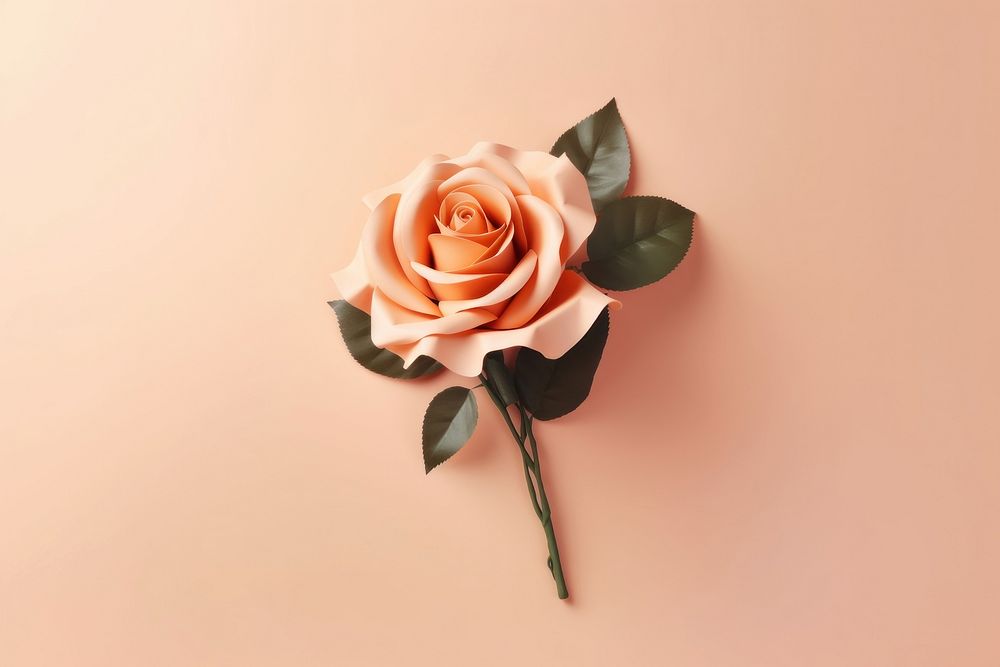 Peach rose bouquet flower plant inflorescence. AI generated Image by rawpixel.