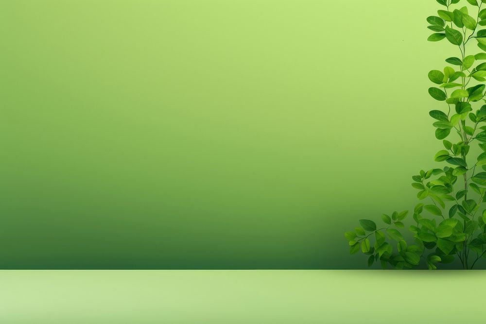 Minimal green background backgrounds plant herbs. AI generated Image by rawpixel.