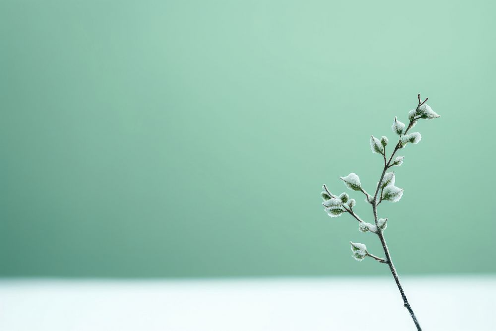 Minimal green background nature flower plant. AI generated Image by rawpixel.