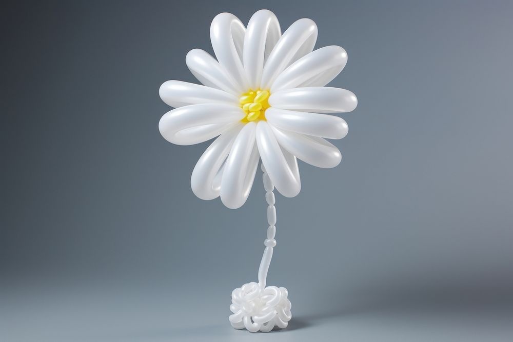 White daisy modelling balloon flower plant gray background. AI generated Image by rawpixel.