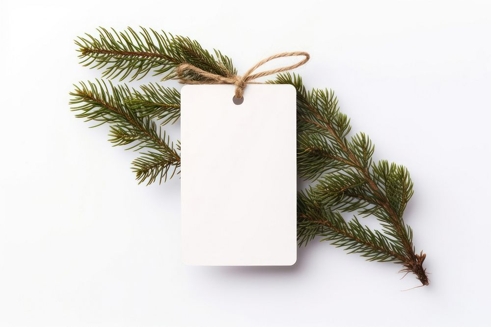Gift tag christmas plant tree. AI generated Image by rawpixel.