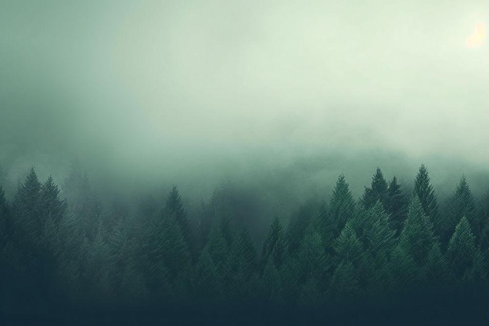 Green faded backgroung for website nature backgrounds outdoors. AI generated Image by rawpixel.