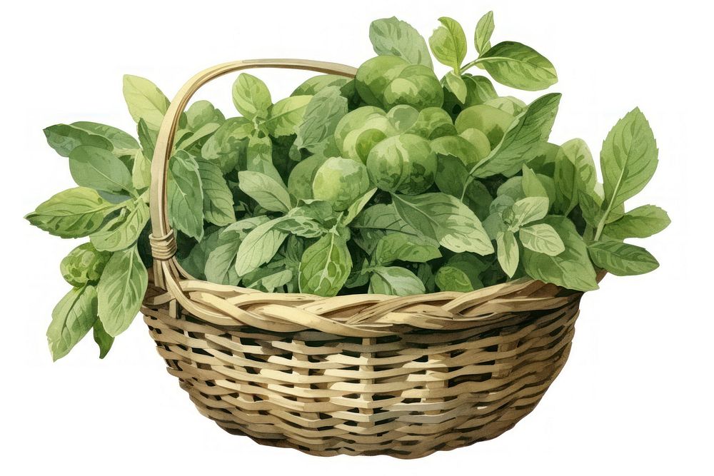 A mini basket filled with green vegetables plant herbs leaf. AI generated Image by rawpixel.