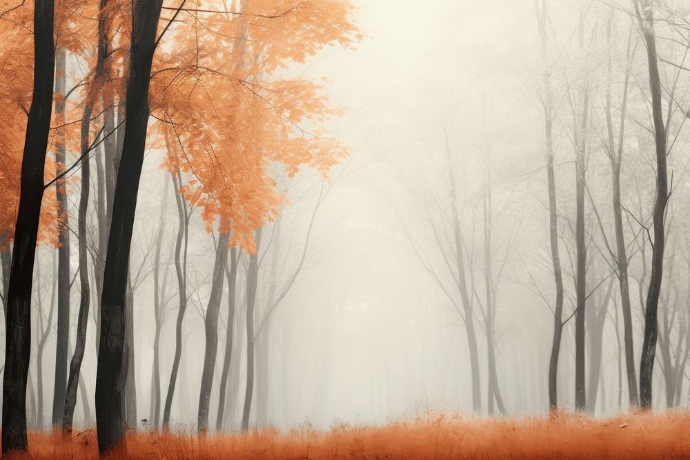 Forest in autumn forest backgrounds landscape. AI generated Image by rawpixel.