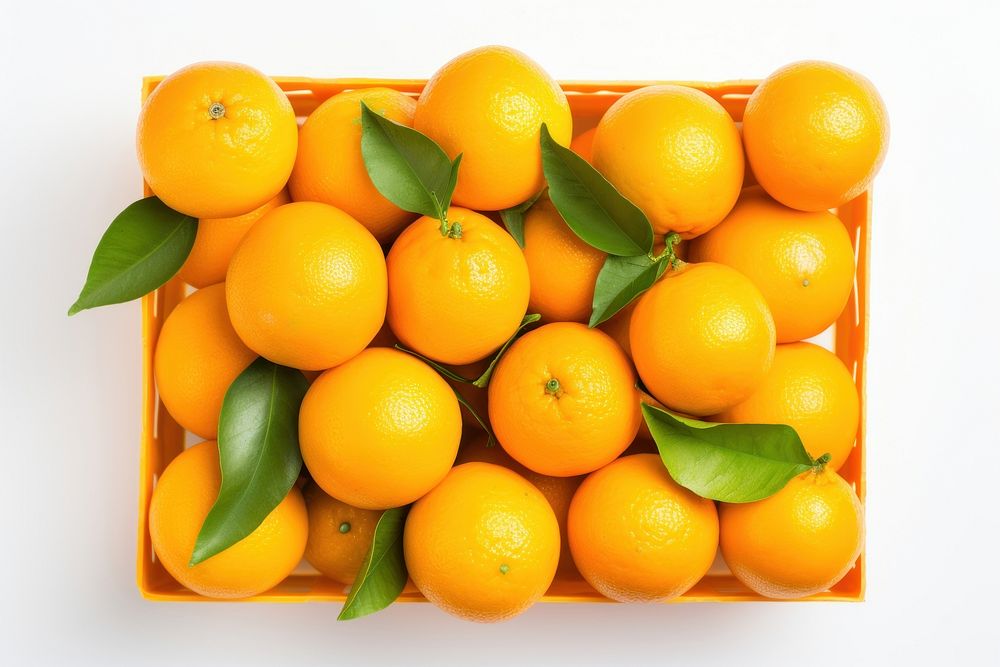 Orange fruits in a box grapefruit lemon plant. AI generated Image by rawpixel.