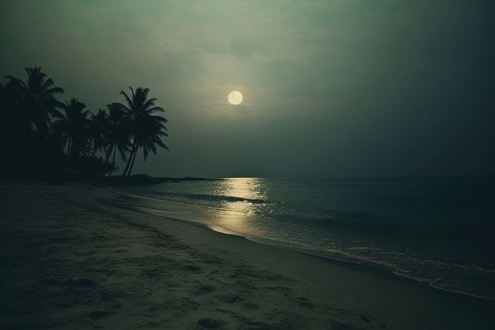 The beach at night with full moon outdoors horizon nature. AI generated Image by rawpixel.