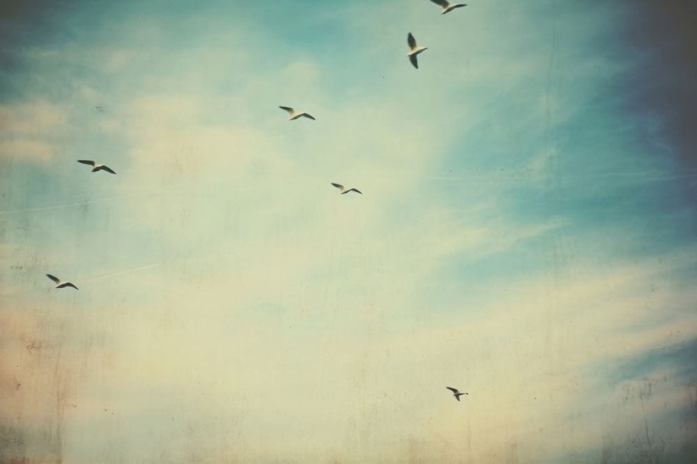 A flock of seagulls flying through a blue sky backgrounds outdoors nature. AI generated Image by rawpixel.