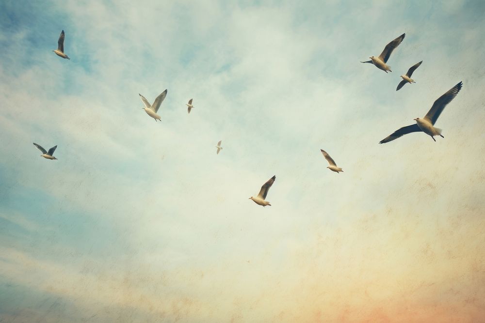 A flock of seagulls flying through a blue sky outdoors animal nature. AI generated Image by rawpixel.