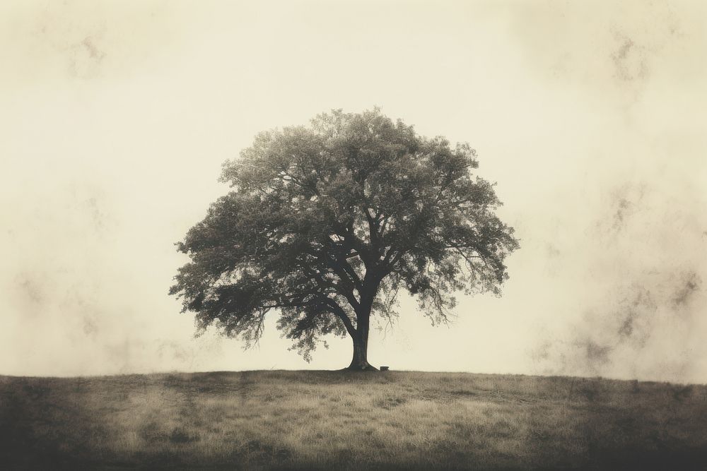 A large tree sitting on top of a lush green field plant tranquility monochrome. AI generated Image by rawpixel.