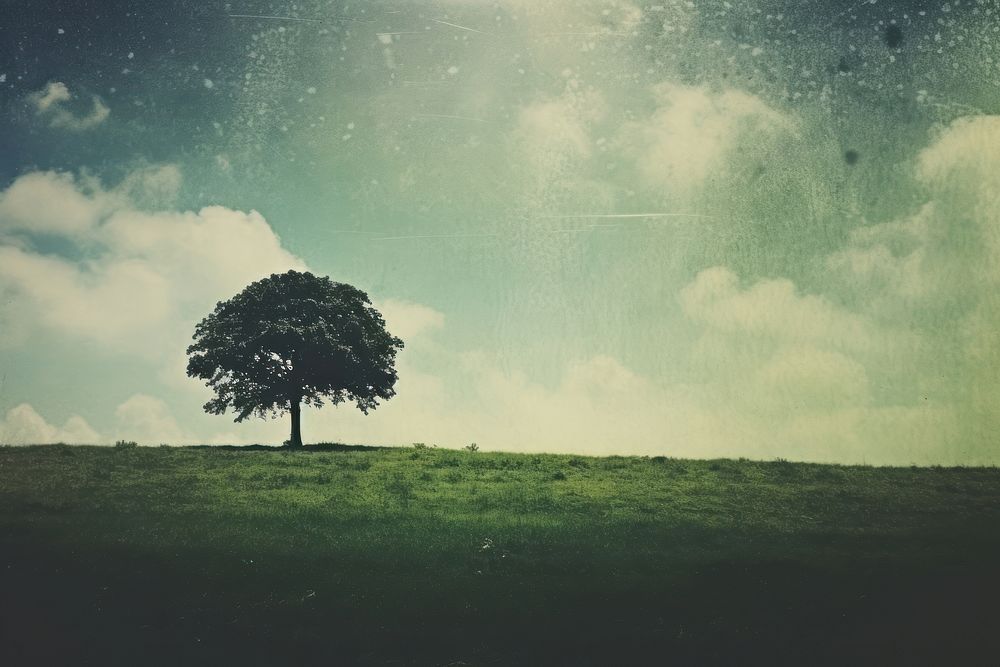 A large tree sitting on top of a lush green field landscape outdoors nature. AI generated Image by rawpixel.