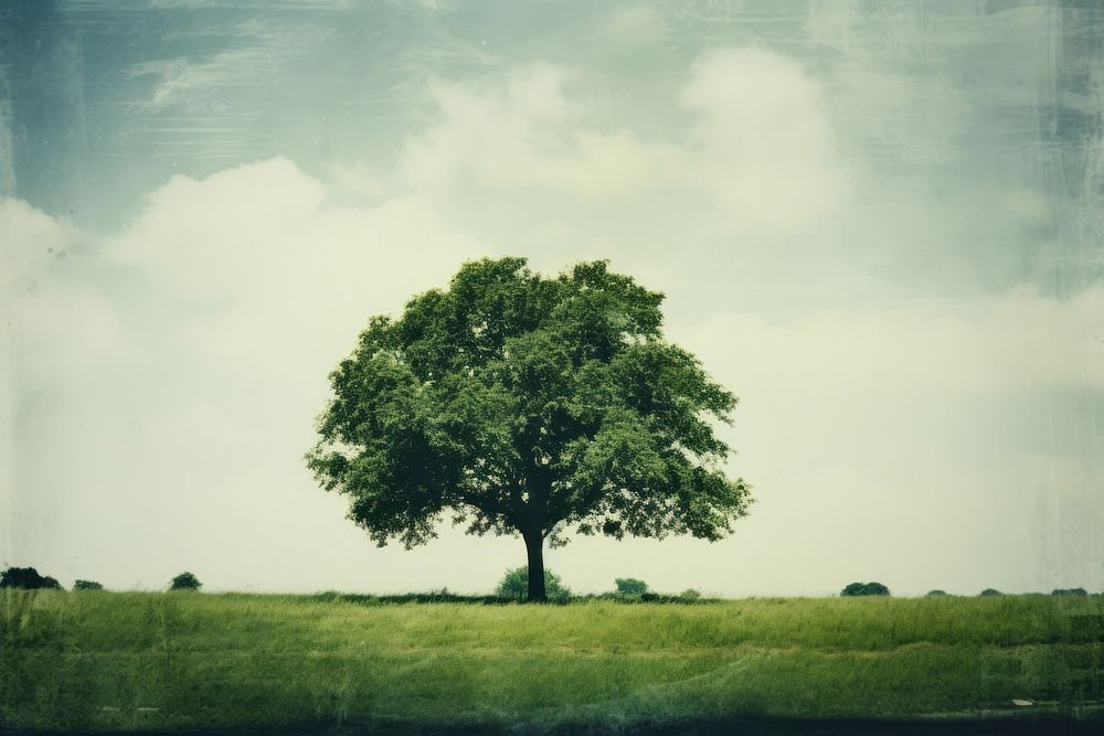 A large tree sitting on top of a lush green field landscape grassland outdoors. AI generated Image by rawpixel.