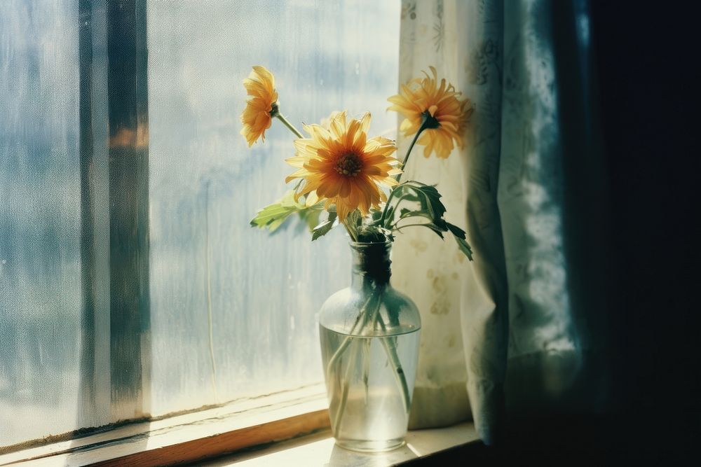 A shadoe of vase flowers sitting in front of a window windowsill plant jar. AI generated Image by rawpixel.