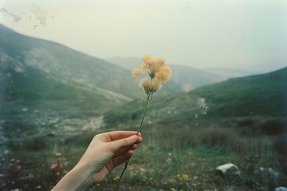 Hand holding a flower in front of hills photography landscape outdoors. AI generated Image by rawpixel.