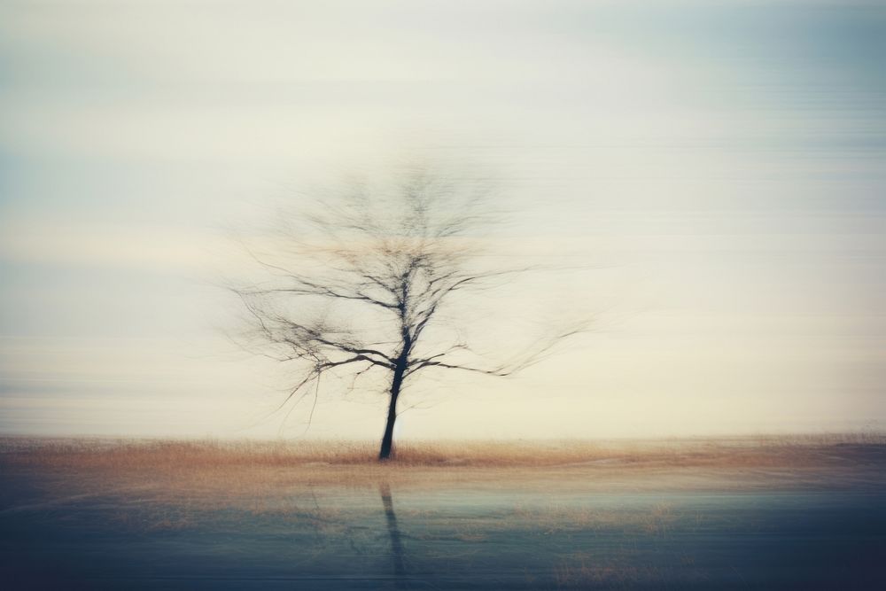 Lonely tree landscape outdoors nature. AI generated Image by rawpixel.