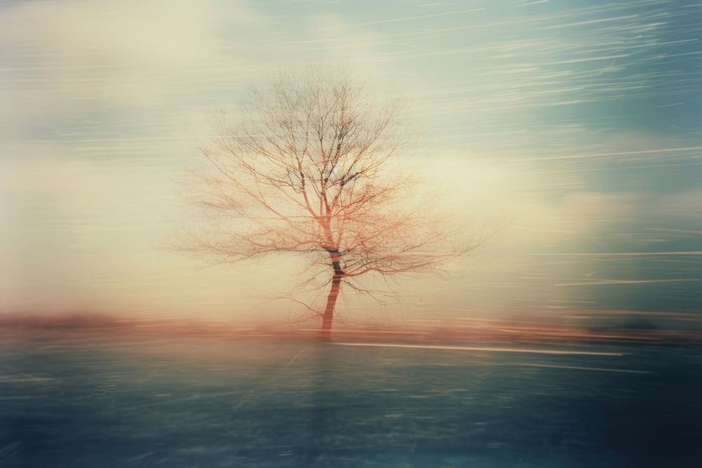 Lonely tree outdoors nature plant. AI generated Image by rawpixel.