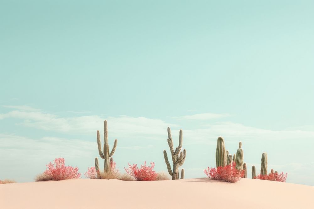 Cactuss on the dune landscape outdoors nature. AI generated Image by rawpixel.