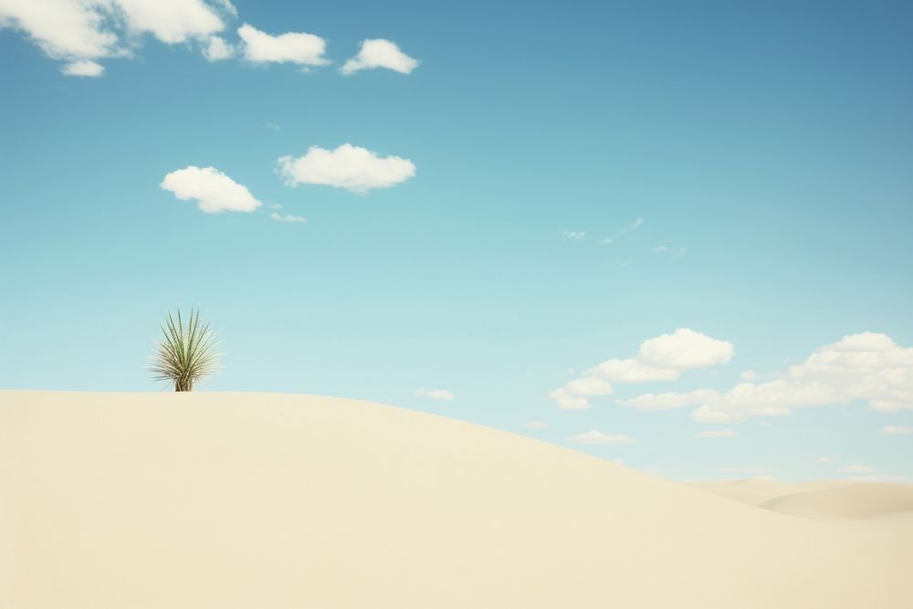 Dune and cactus sky landscape outdoors. AI generated Image by rawpixel.