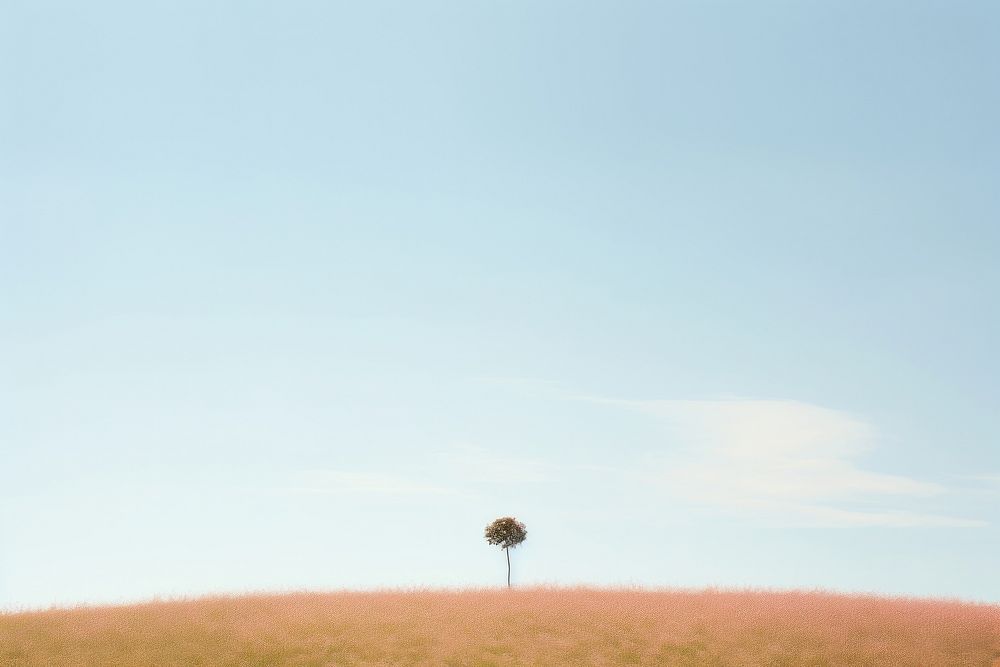 Flower hill landscape sky grassland. AI generated Image by rawpixel.