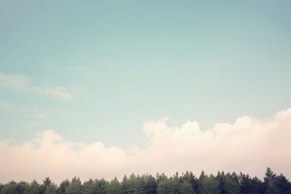 Forest cloud land sky. AI generated Image by rawpixel.
