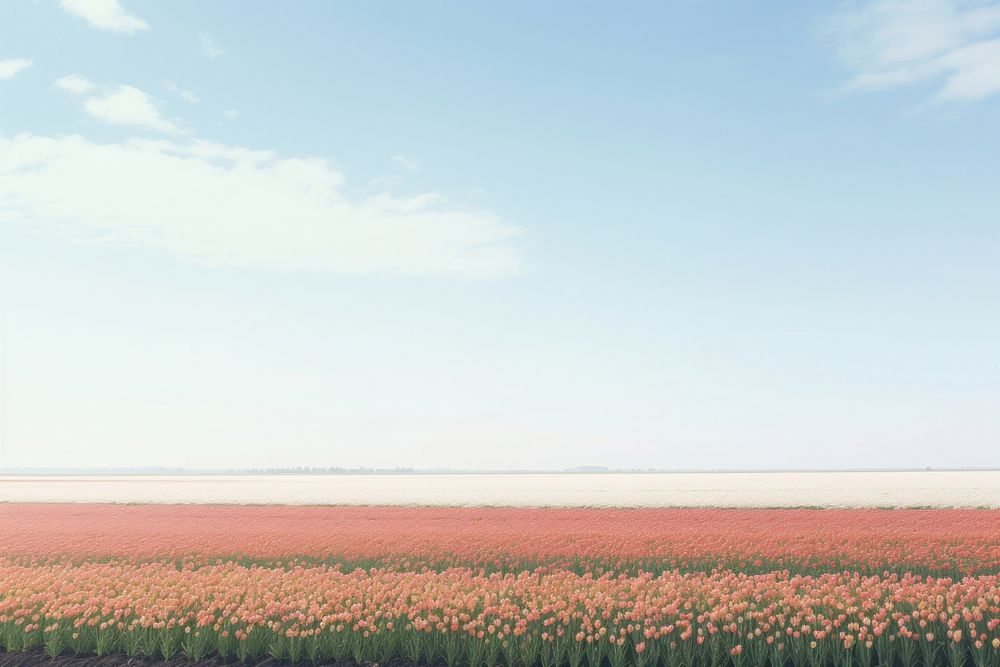 Tulip field land sky landscape. AI generated Image by rawpixel.