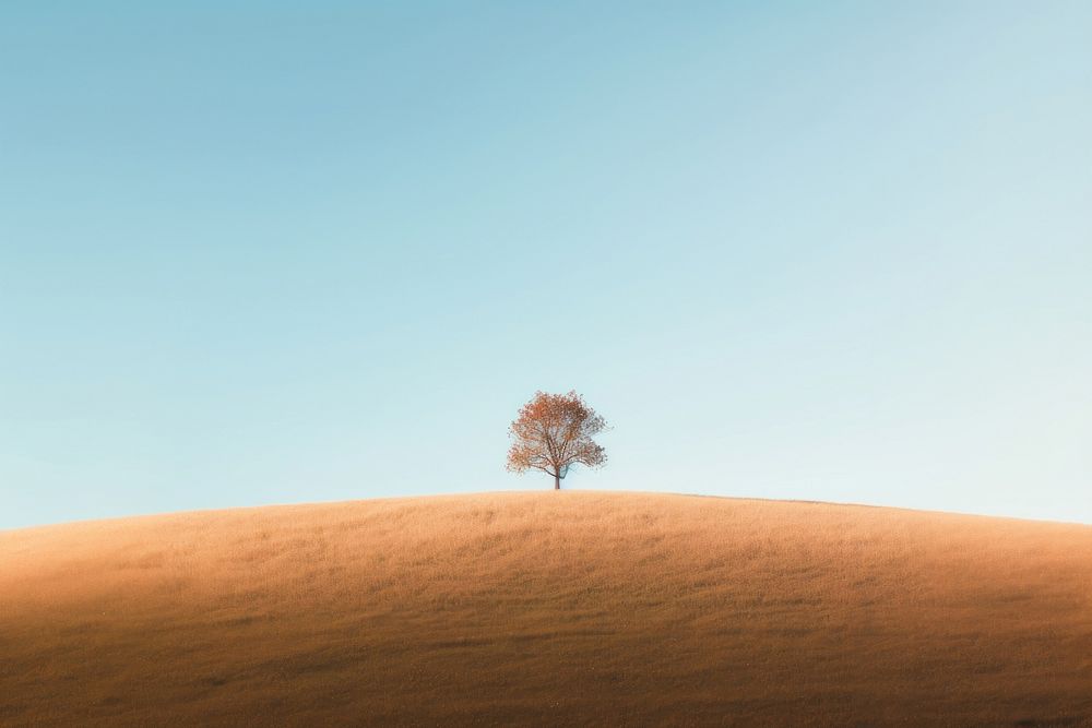 Tree on fall hill sky landscape outdoors. AI generated Image by rawpixel.