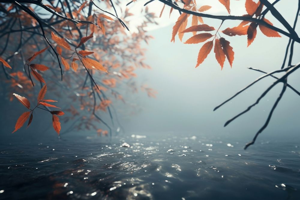 Leaves outdoors nature autumn. AI generated Image by rawpixel.