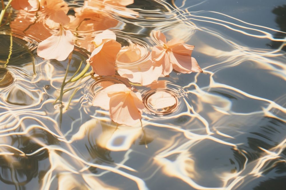 Light reflected from water outdoors nature flower. AI generated Image by rawpixel.