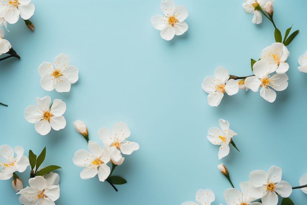 Spring flowers blossom nature petal. AI generated Image by rawpixel.