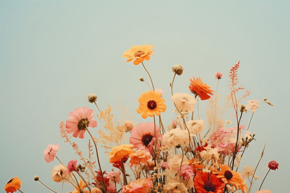 Wild flowers outdoors blossom nature. AI generated Image by rawpixel.