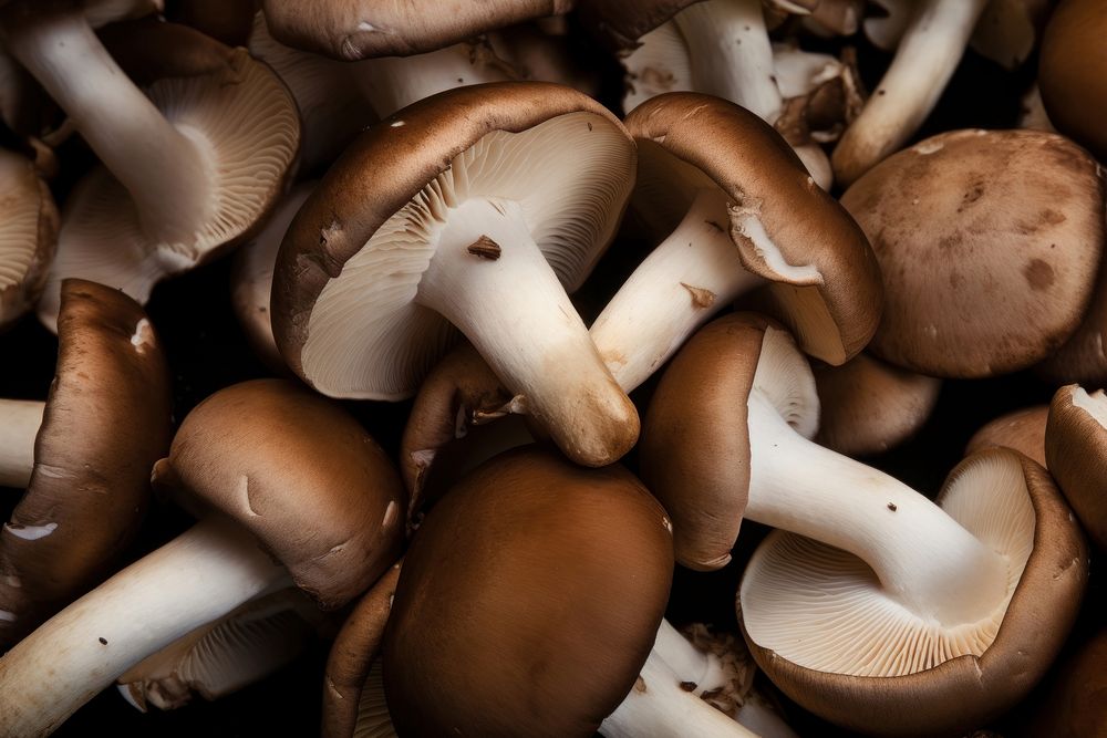 Champignons mushroom fungus food. AI generated Image by rawpixel.