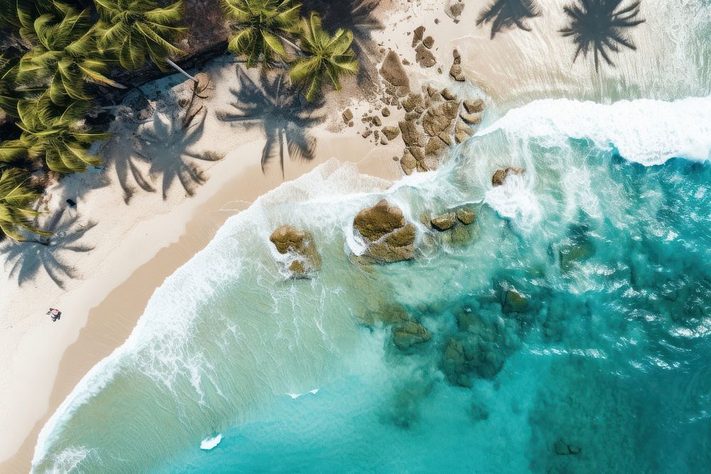 Tropical beach outdoors nature coast. AI generated Image by rawpixel.