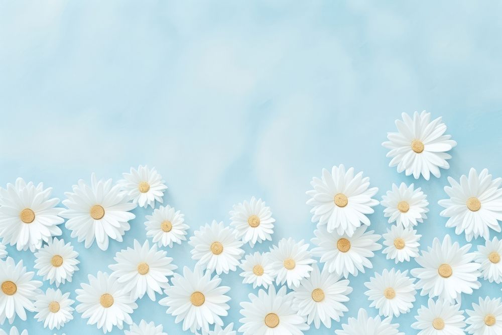 Daisy backgrounds outdoors flower. AI generated Image by rawpixel.