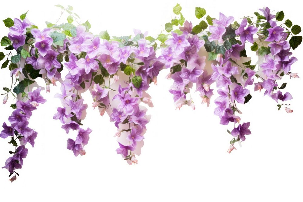 Vine with flowers hanging blossom purple plant. AI generated Image by rawpixel.