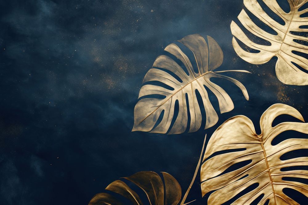 Monstera backgrounds outdoors plant. AI generated Image by rawpixel.