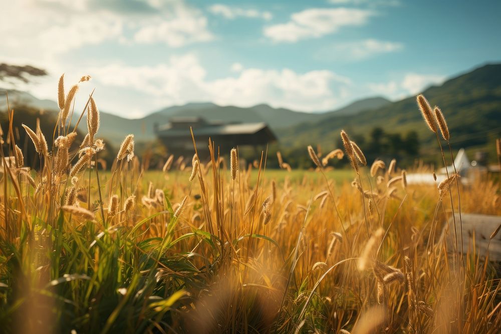 Grassland scenery grassland agriculture landscape. AI generated Image by rawpixel.